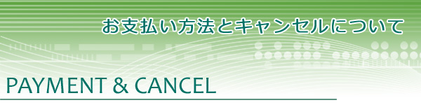 ミャンマーパークビューグループは長年の実績と信頼のもと、ミャンマー国内の各種旅行手配をはじめ、ミャンマー進出、不動産斡旋、市場調査など、ミャンマーに関することをお手伝いいたします。